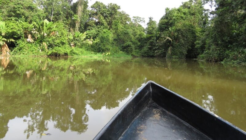 Recorrido en bote por los canales del parque Tortuguero, Ecoturismo en Costa Rica